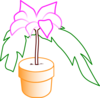 Potted Plant Clip Art